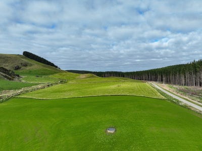 /international/nz/carswell-road-pine-bush-southland-320107812441/