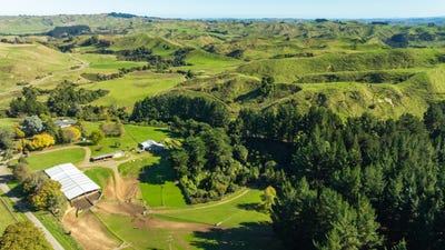 /international/nz/bluff-road-rangiwahia-manawatu-wanganui-320092516592/