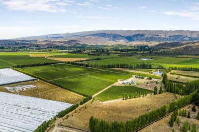 /international/nz/mcpherson-road-earnscleugh-alexandra-otago-320097281066/