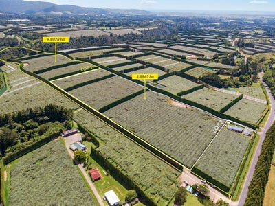 /international/nz/te-matai-road-te-puke-bay-of-plenty-320100822203/