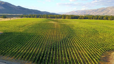 /international/nz/maori-point-road-tarras-otago-320106461197/