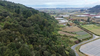 /international/nz/takaka-hill-highway-riwaka-motueka-tasman-320108287469/
