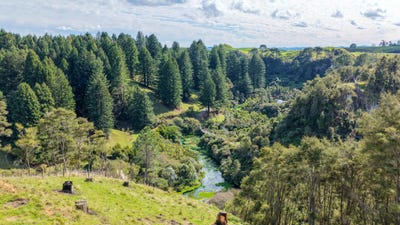 /international/nz/leslie-road-putaruru-waikato-320107645219/