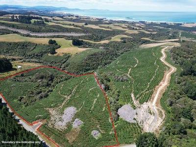 /international/nz/taieri-beach-road-taieri-mouth-otago-320102312847/