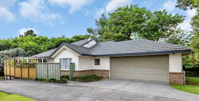 /international/nz/bernard-street-avenues-northland-320106824991/