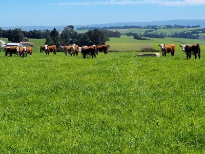 /international/nz/smiths-track-balclutha-otago-320101077325/?lang=zh-cn