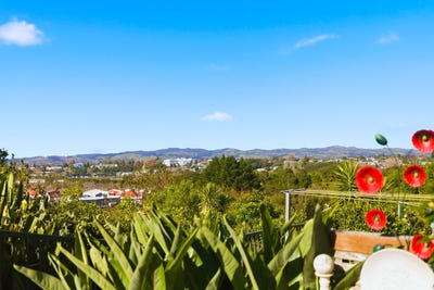 /international/nz/manchester-way-judea-bay-of-plenty-320108103430/