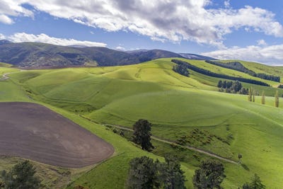 /international/nz/geraldine-fairlie-highway-fairlie-canterbury-320103369348/