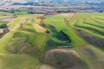 /international/nz/robinson-road-cave-canterbury-320103763139/