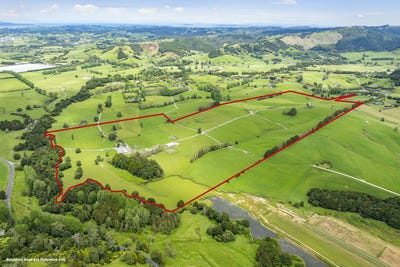 /international/nz/kaipara-flats-road-kaipara-flats-auckland-320104244809/