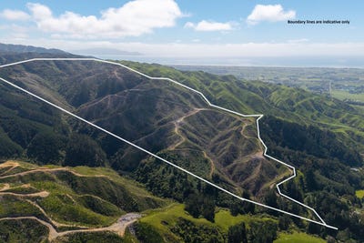 /international/nz/mangaone-north-road-te-horo-wellington-320103726942/