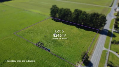 /international/nz/ferry-road-edendale-southland-320106683453/