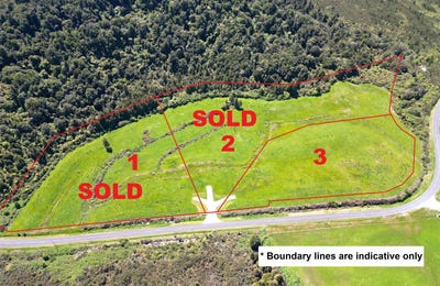 /international/nz/marsden-road-marsden-west-coast-320103347372/