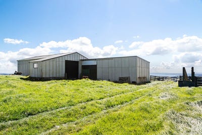 /international/nz/awhitu-road-waiuku-auckland-region-320106190534/