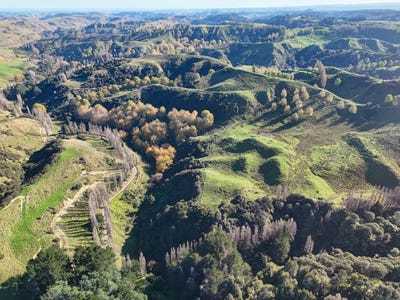/international/nz/kaukatea-valley-road-okoia-manawatu-wanganui-320108457485/
