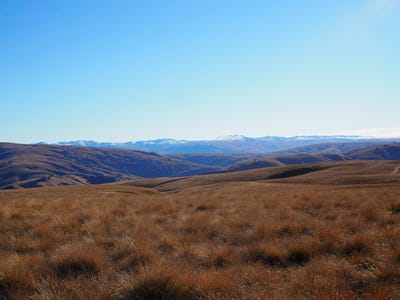 /international/nz/mt-benger-road-ettrick-otago-320085612199/