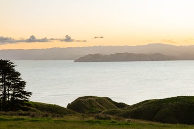 /international/nz/wainui-road-kaiti-gisborne-320104978984/