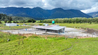 /international/nz/poerua-valley-road-harihari-west-coast-320107767777/