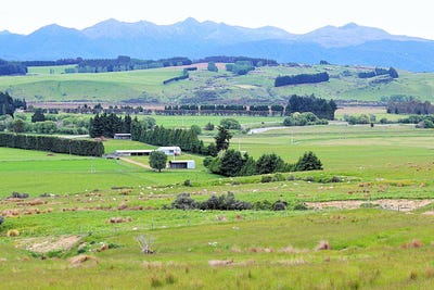 /international/nz/lynwood-road-te-anau-southland-320107296188/