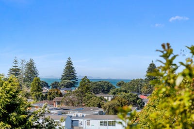 /international/nz/orewa-heights-crescent-orewa-auckland-320106131192/