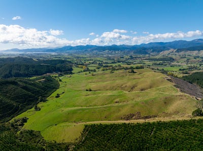 /international/nz/teapot-valley-road-brightwater-tasman-320107705745/