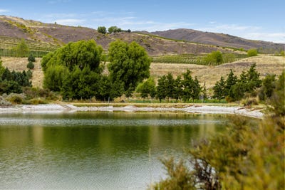 /international/nz/cairnmuir-road-cromwell-otago-320097792846/