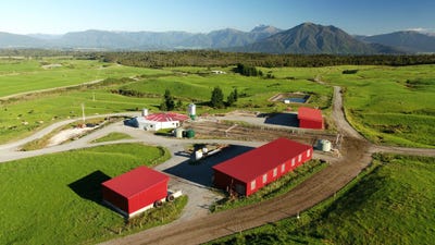 /international/nz/aratika-drive-lake-brunner-west-coast-320096194819/