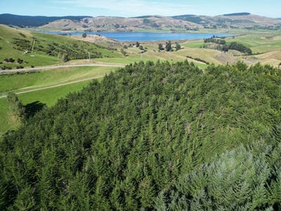 /international/nz/waihola-hill-road-waihola-otago-320107247395/