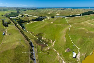 /international/nz/caseys-road-seddon-marlborough-320106939436/