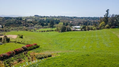 /international/nz/dominion-road-mahana-tasman-320094298656/
