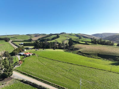 /international/nz/coe-road-milton-otago-320107834744/