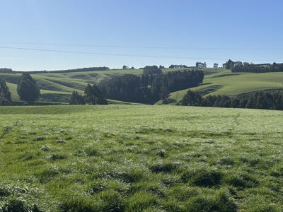 /international/nz/hillend-road-and-falla-burn-road-balclutha-otago-320103014095/