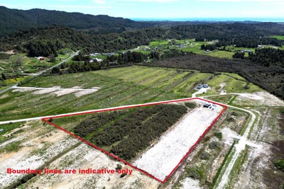 /international/nz/blue-spur-road-arahura-valley-west-coast-320103511550/