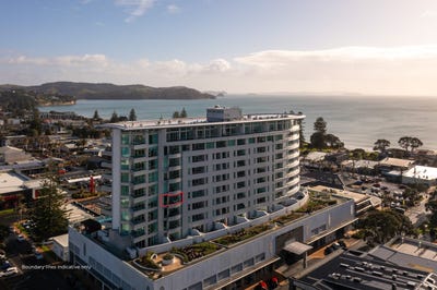 /international/nz/tamariki-avenue-orewa-auckland-320106486176/