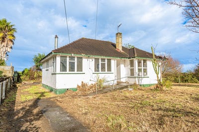 /international/nz/tui-place-gonville-manawatu-whanganui-320101224383/