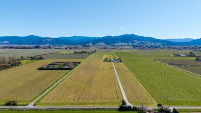 /international/nz/mills-and-ford-road-east-grovetown-marlborough-320102628929/