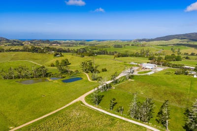 /international/nz/pataua-south-road-pataua-south-gisborne-320105814777/