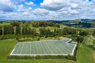 /international/nz/oreipunga-road-cambridge-waikato-320107043076/