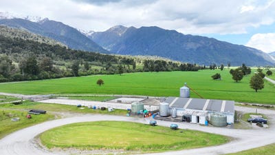 /international/nz/whataroa-highway-whataroa-west-coast-320104261788/