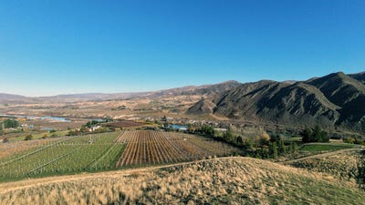/international/nz/ripponvale-road-cromwell-otago-320106746115/