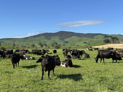 /international/nz/paratu-west-road-morrinsville-waikato-320103369657/