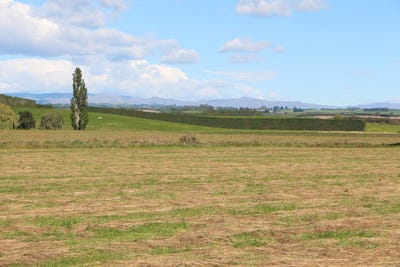 /international/nz/rosewill-valley-road-timaru-canterbury-320105768692/