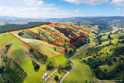 /international/nz/blue-spur-road-gabriels-gully-estate-lawrence-otago-320102012682/