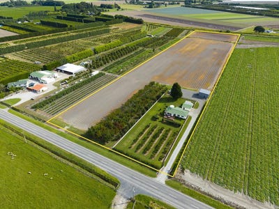 /international/nz/back-ormond-road-waerengaahika-gisborne-320105807168/