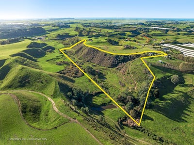 /international/nz/pongakawa-bush-road-pongakawa-bay-of-plenty-320101181626/