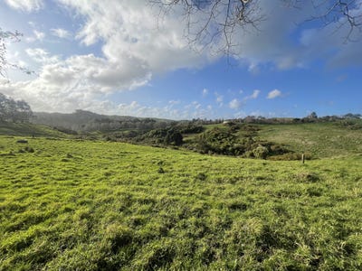 /international/nz/monowai-road-wainui-auckland-320102721732/