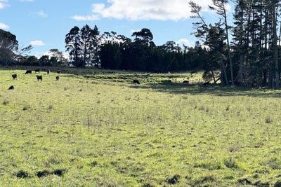 /international/nz/bobs-way-dairy-flat-auckland-320108160718/