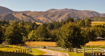 /international/nz/hogans-gully-road-arrowtown-otago-320106712359/