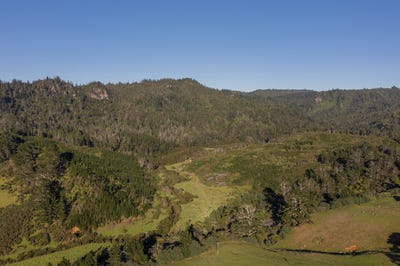 /international/nz/paul-road-tairua-waikato-320103309978/