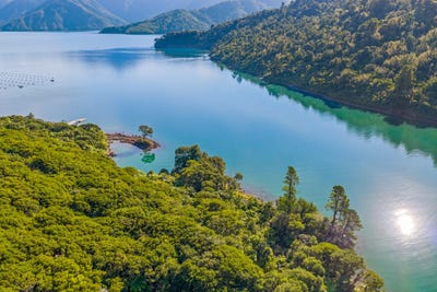 /international/nz/yncyca-bay-pelorus-sounds-marlborough-320107789503/